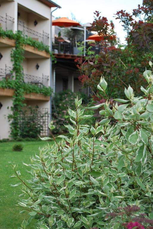 Hostellerie Gilain Achêne Dış mekan fotoğraf